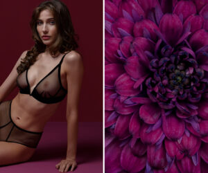 Paladini Lingerie KollektionPaladini  22