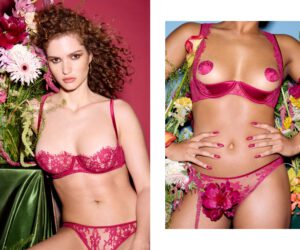 Coco de MerCoco de Mer  5