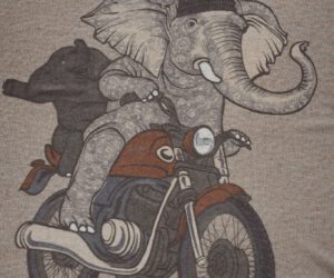 HemisphereHemisphere  4